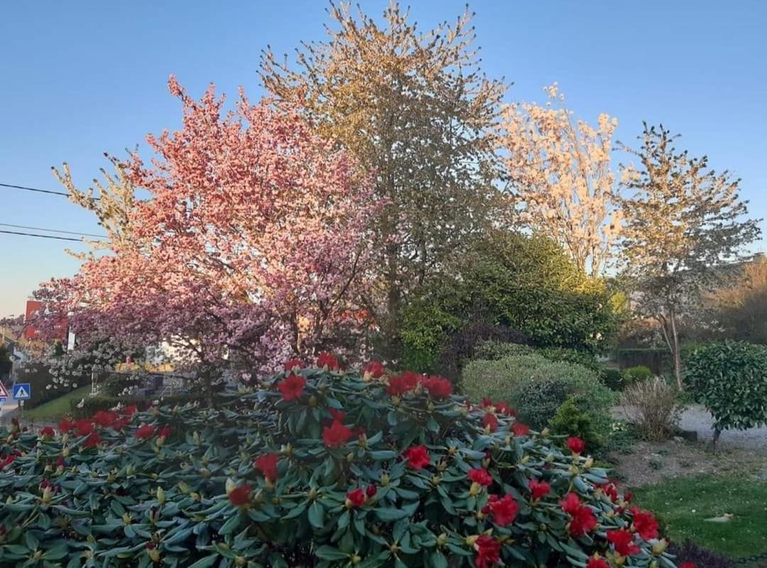 Gite La Forge Lierneux エクステリア 写真