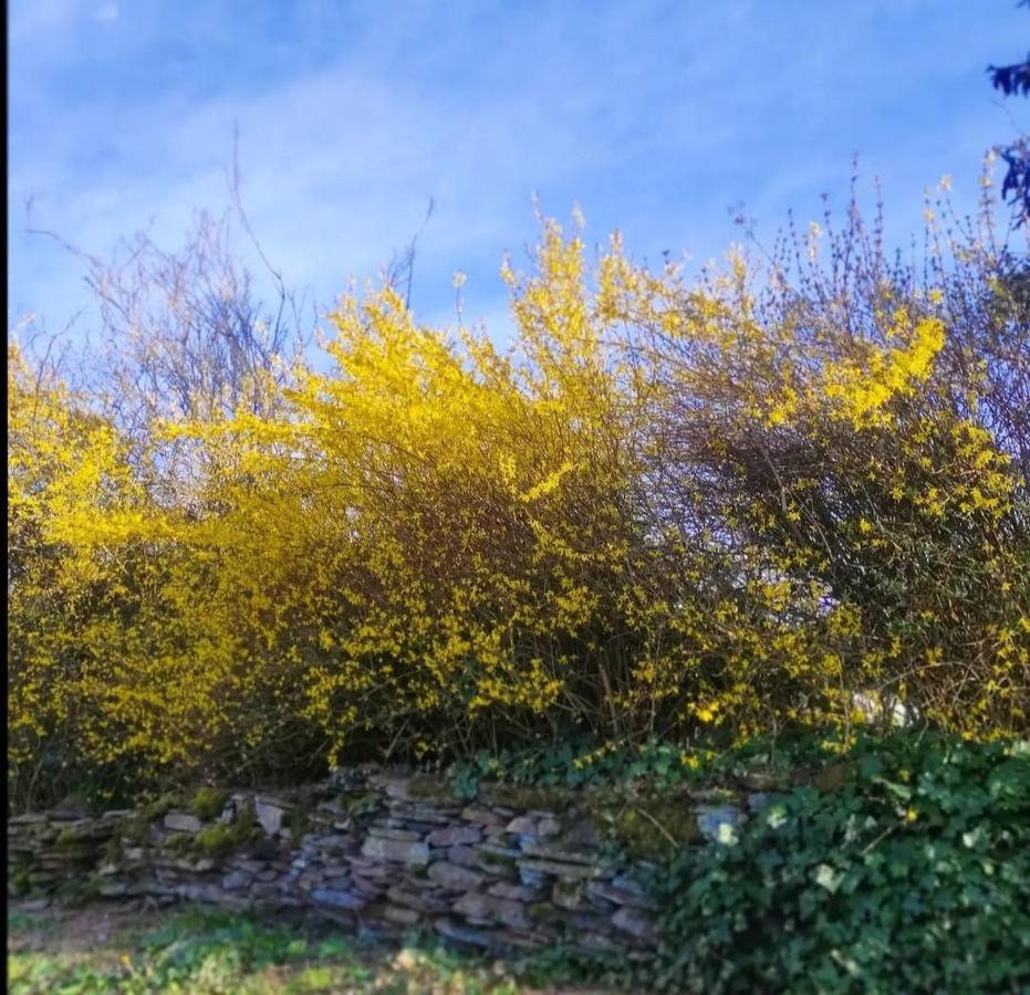 Gite La Forge Lierneux エクステリア 写真